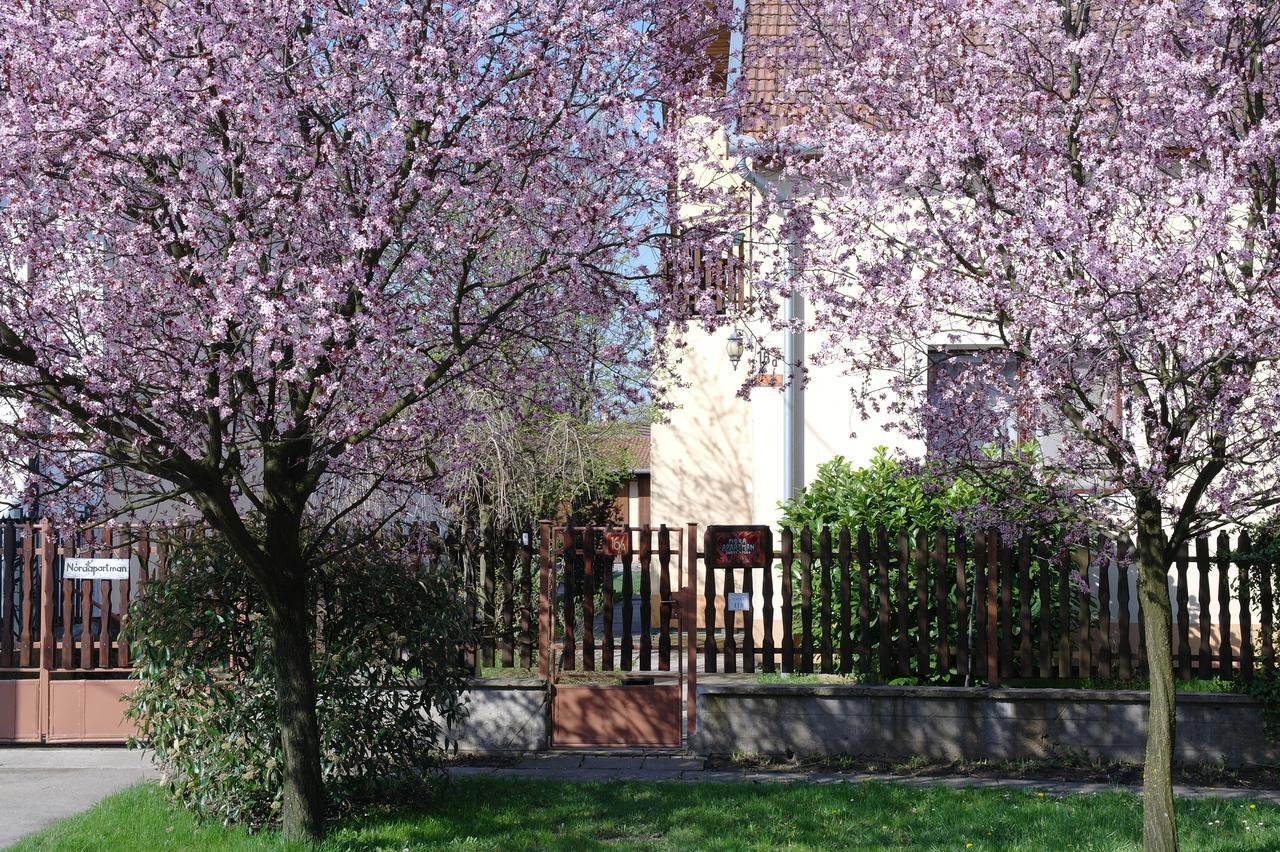 Nora Apartman Jula Exterior foto